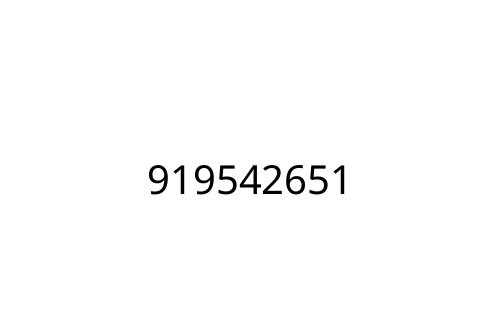 919542651