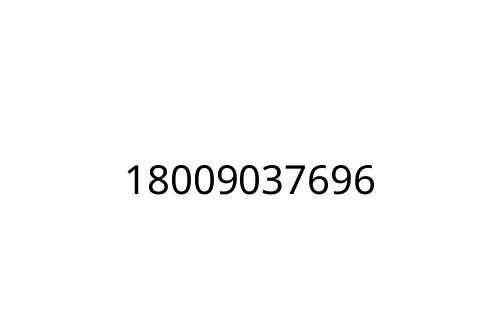 18009037696