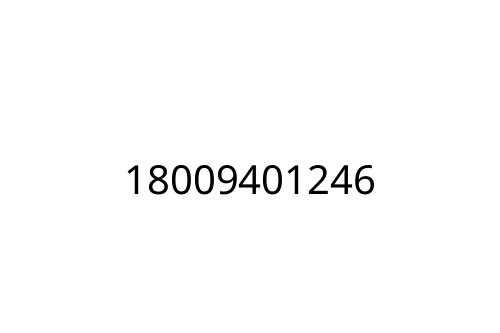 18009401246