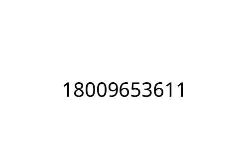 18009653611