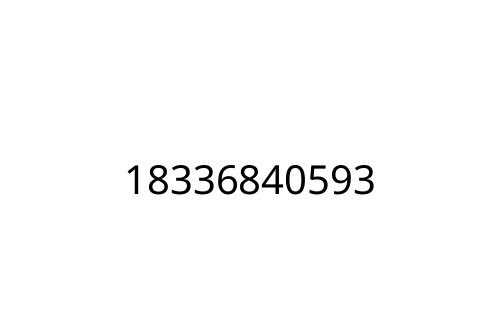 18336840593