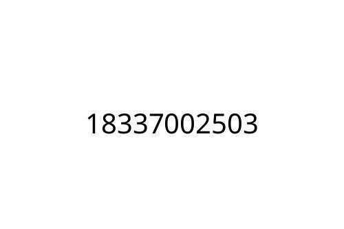 18337002503