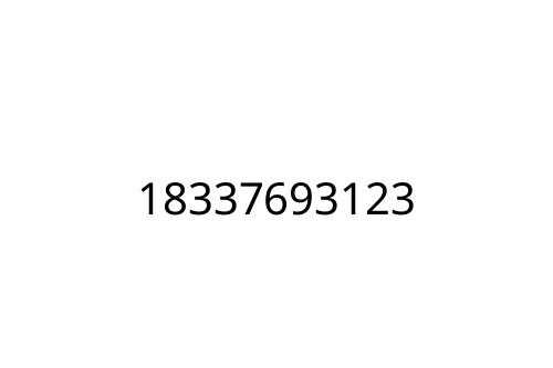 18337693123
