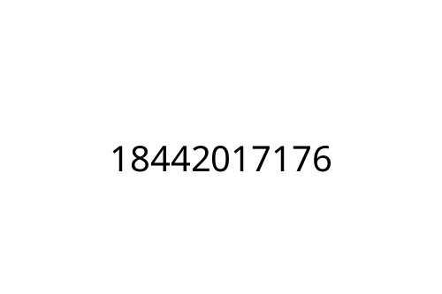 18442017176