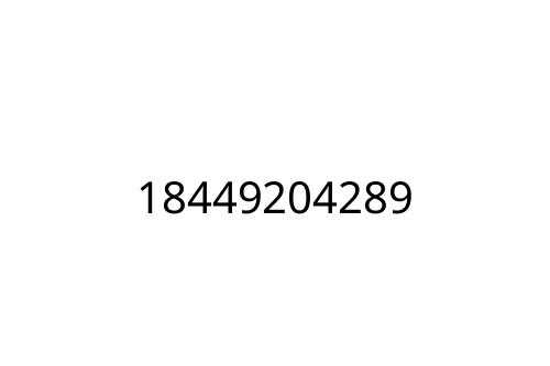18449204289