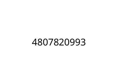 4807820993