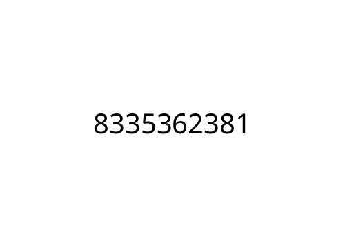 8335362381