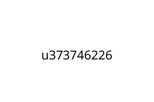 u373746226