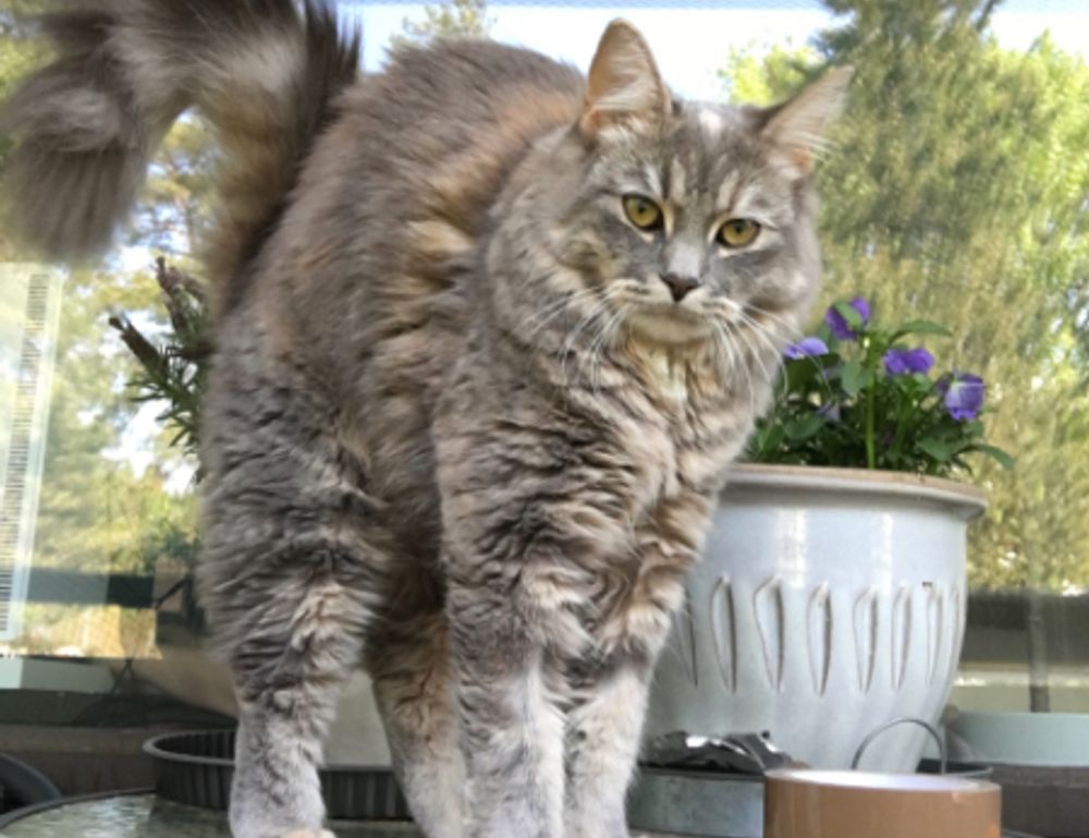 architecture plans kdainteriorment