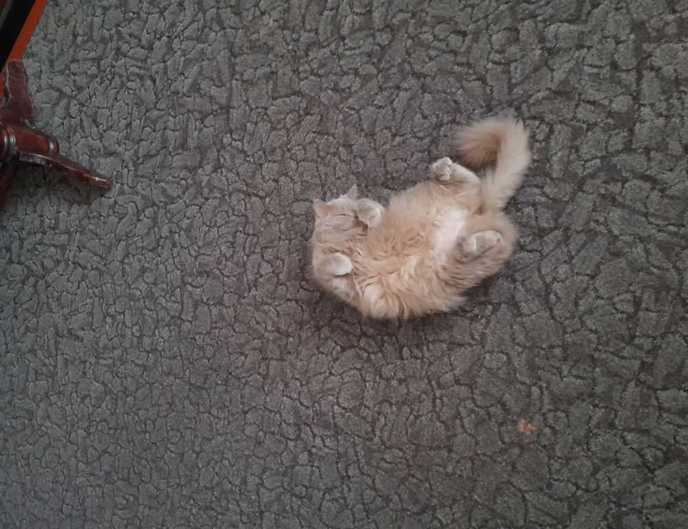 building advice kdainteriorment