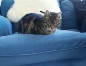 do mopfell78 pc gamers have an advantage