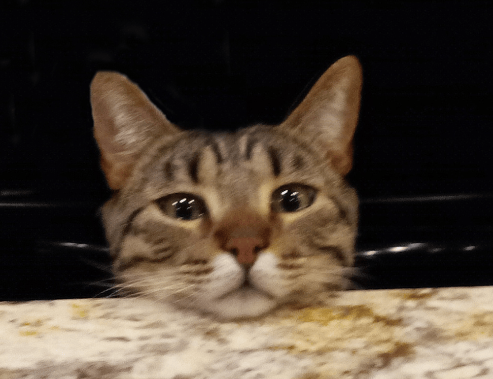 grs uine28.6 error codes