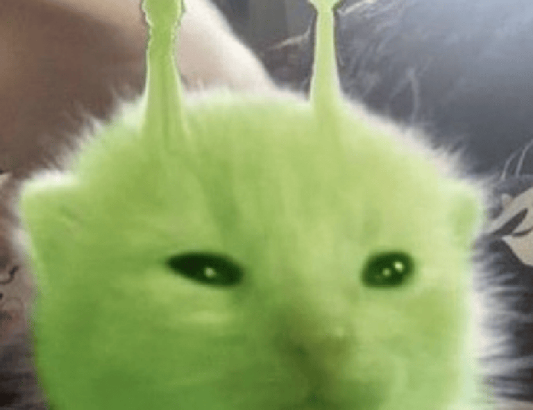 what architecture is all about kdainteriorment