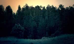 80 uf a pesos chilenos