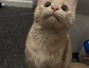 casimir schmidt vriendin