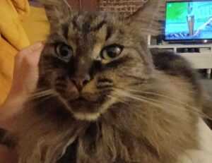 fudo.cl iniciar sesion