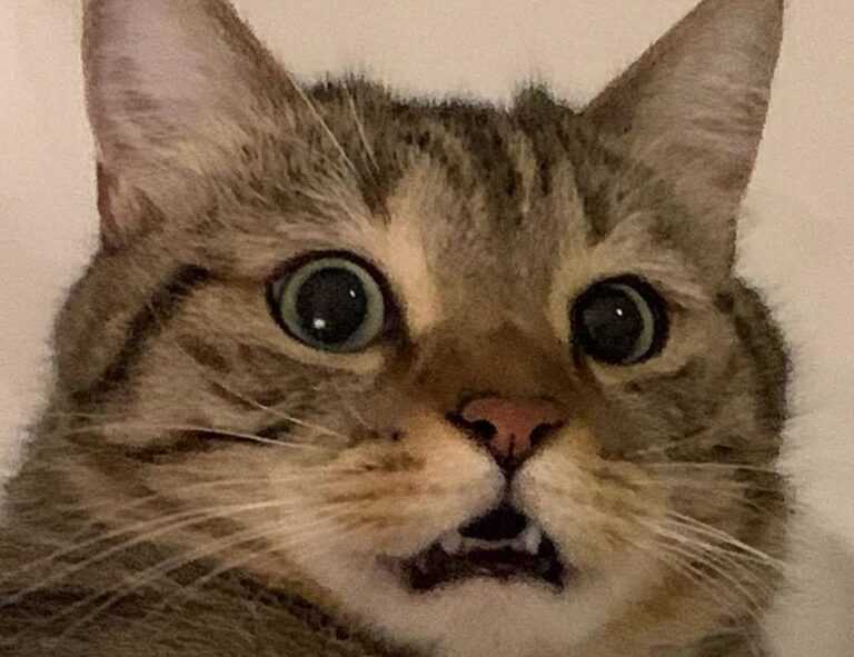 godinez el chavo cuerpo completo