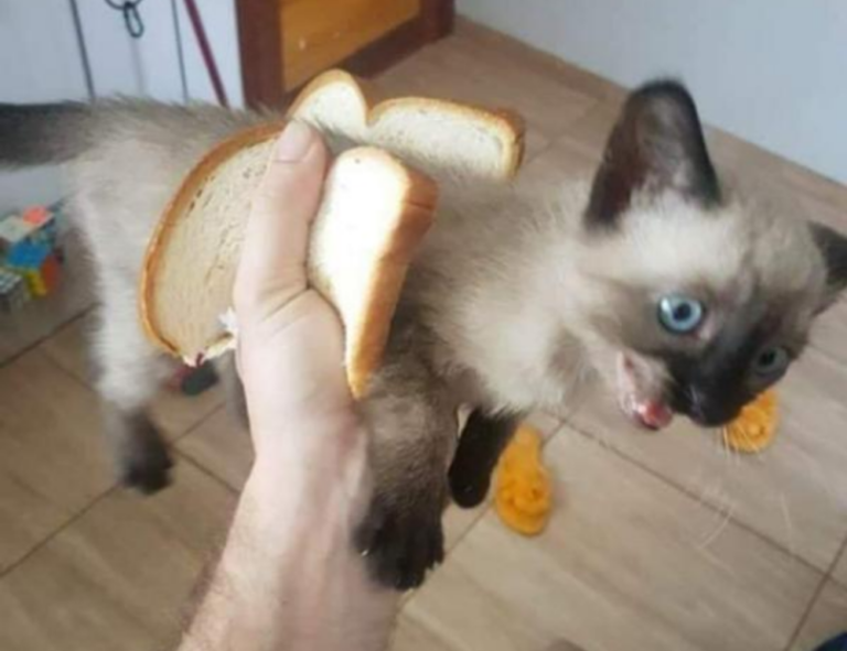 grecas en la nuca hombre