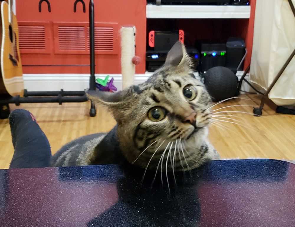 grecas en la nuca hombre