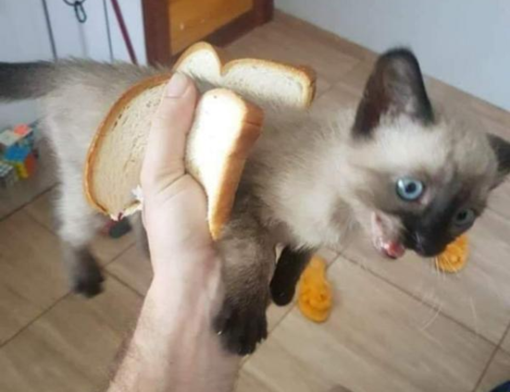 grecas en la nuca hombre