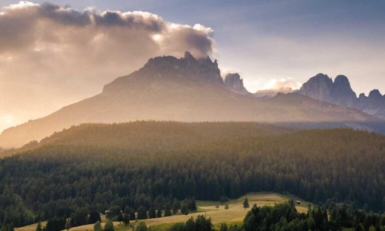 komban bus skin download light