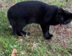 lengte jutta leerdam