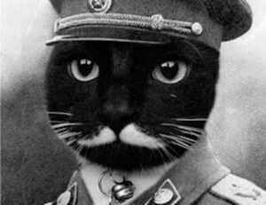 loki temporada 2 cuevana