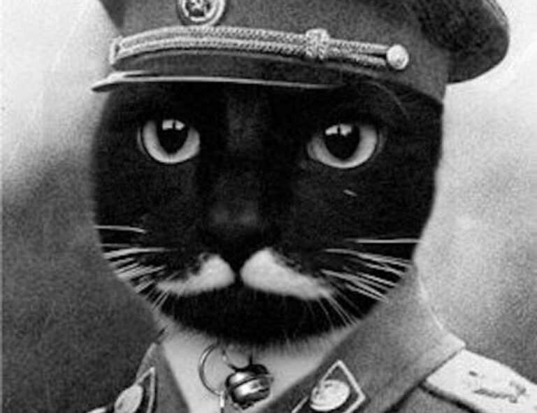 loki temporada 2 cuevana