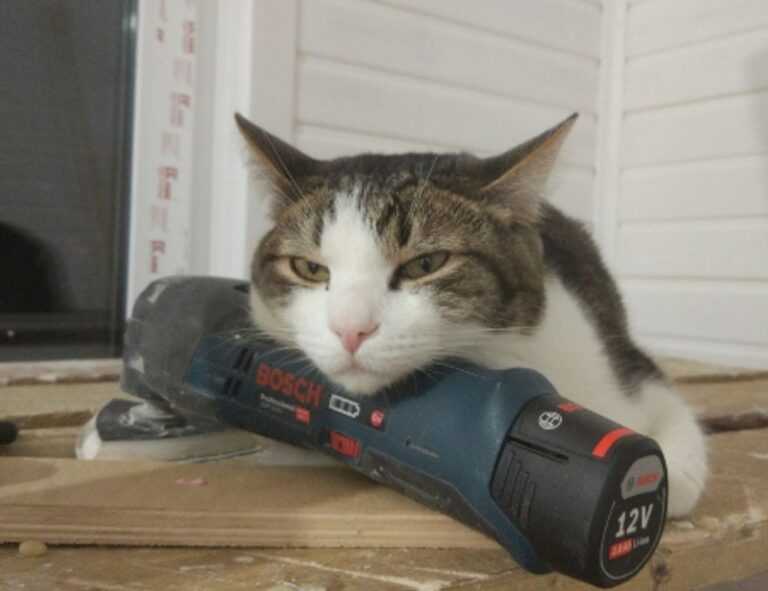 loki temporada 2 cuevana