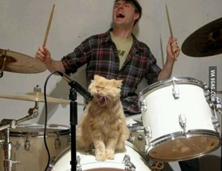 medcezir capÃtulos completos en español latino mega