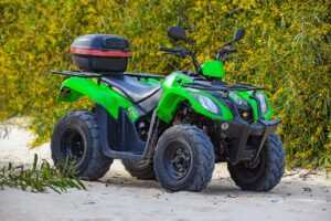 miss marie elisabeth