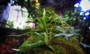 tamilyogi. vip home page