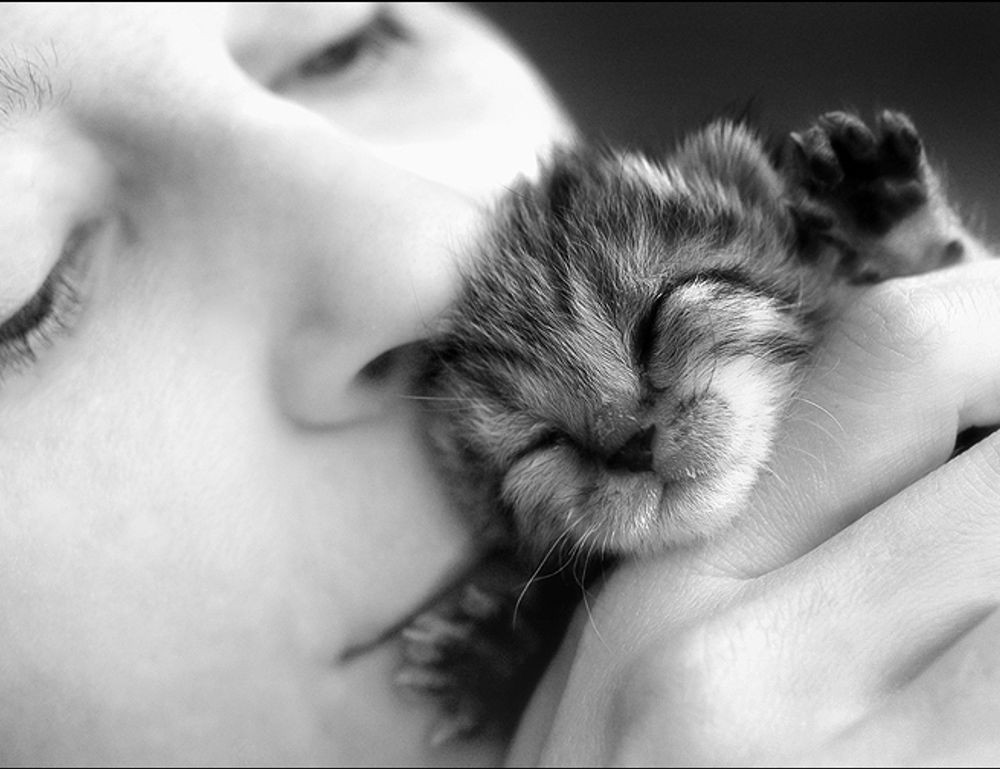 tarjetas de feliz sabado graciosas