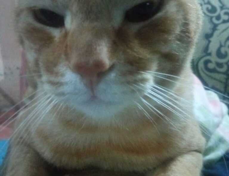 tatuajes de hijos hombres