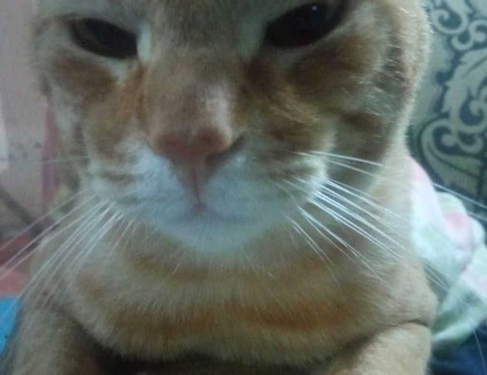 tatuajes de hijos hombres