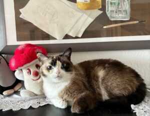 taylor swift ugly photos