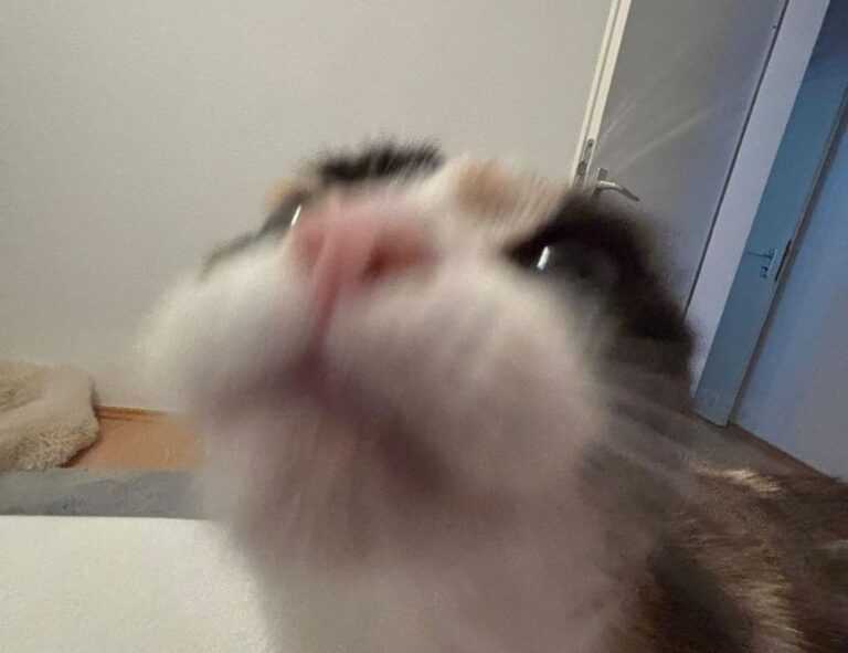 taylor swift ugly photos