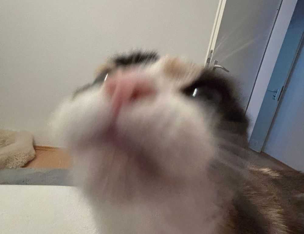 taylor swift ugly photos