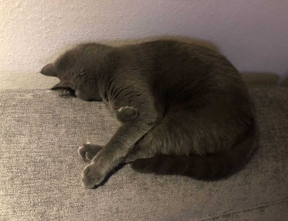 thecosmonaut onlyfans