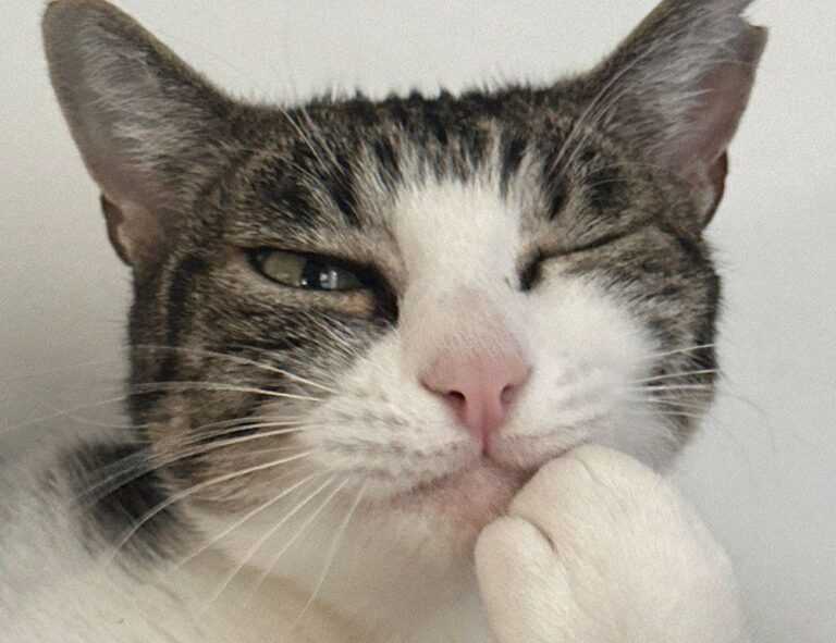 yina calderon only fans