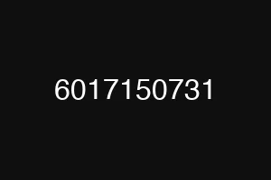 6017150731