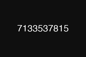 7133537815