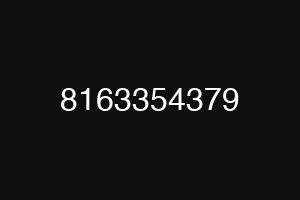 8163354379