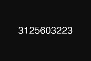 3125603223