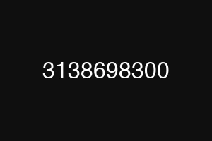 3138698300