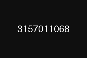 3157011068