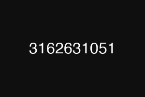 3162631051