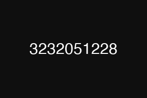 3232051228