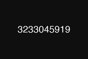 3233045919