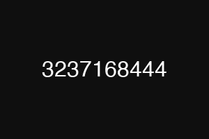 3237168444